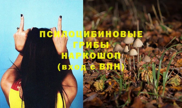соль курить ск Пестово