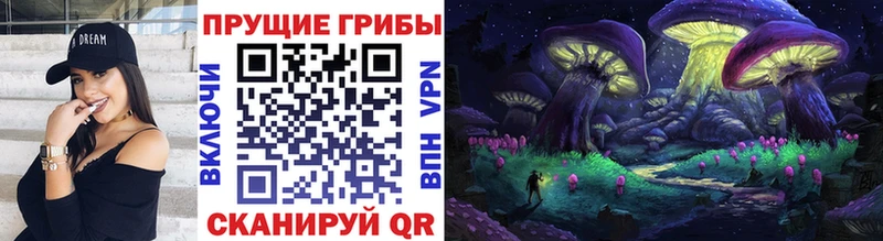 Галлюциногенные грибы Psilocybe  Болхов 